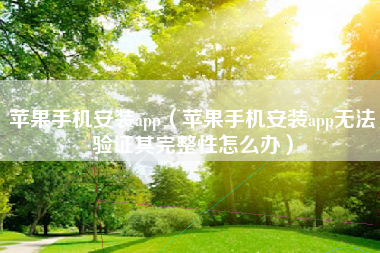 苹果手机安装app（苹果手机安装app无法验证其完整性怎么办）