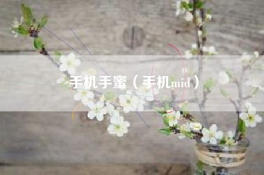 手机手蜜（手机mid）