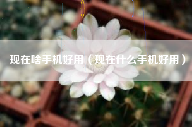 现在啥手机好用（现在什么手机好用）