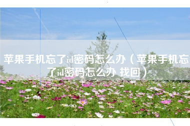 苹果手机忘了id密码怎么办（苹果手机忘了id密码怎么办 找回）