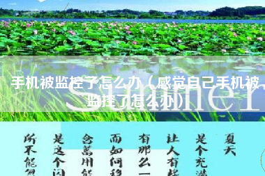 手机被监控了怎么办（感觉自己手机被监控了怎么办）