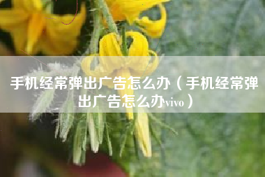 手机经常弹出广告怎么办（手机经常弹出广告怎么办vivo）