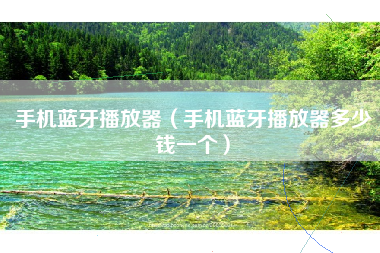 手机蓝牙播放器（手机蓝牙播放器多少钱一个）