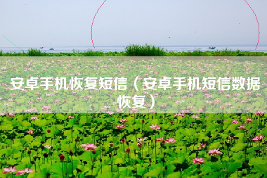 安卓手机恢复短信（安卓手机短信数据恢复）