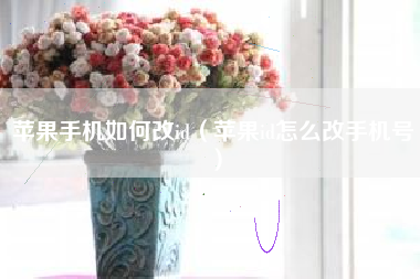 苹果手机如何改id（苹果id怎么改手机号）