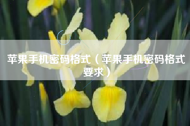 苹果手机密码格式（苹果手机密码格式要求）