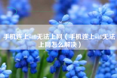 手机连上wifi无法上网（手机连上wifi无法上网怎么解决）