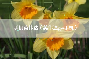 手机英伟达（英伟达gpu手机）