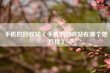 手机的回收站（手机的回收站在哪个地方找）