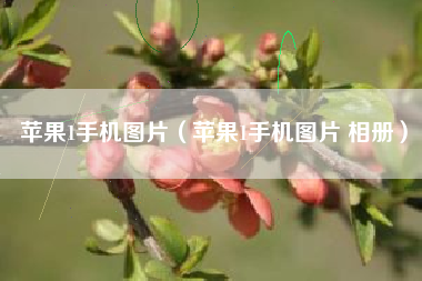 苹果1手机图片（苹果1手机图片 相册）