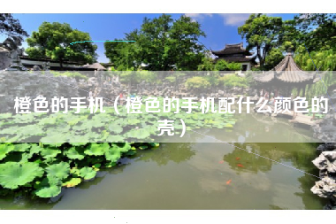 橙色的手机（橙色的手机配什么颜色的壳）