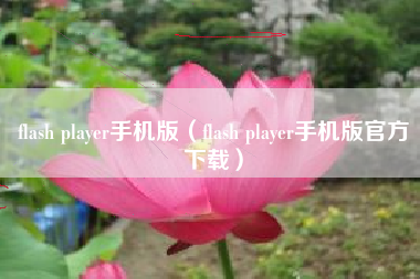 flash player手机版（flash player手机版官方下载）