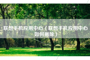 联想手机应用中心（联想手机应用中心如何删除）