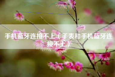 手机蓝牙连接不上（手表和手机蓝牙连接不上）