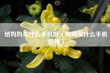 给妈妈买什么手机好（妈妈买什么手机好用）