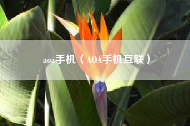 aoa手机（AOA手机互联）