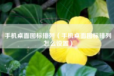 手机桌面图标排列（手机桌面图标排列怎么设置）