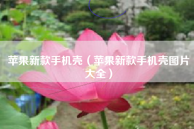 苹果新款手机壳（苹果新款手机壳图片大全）