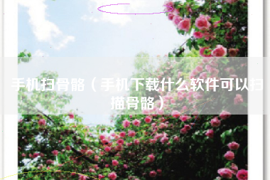 手机扫骨骼（手机下载什么软件可以扫描骨骼）