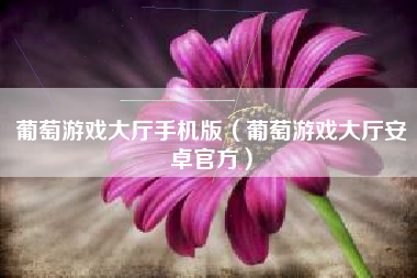 葡萄游戏大厅手机版（葡萄游戏大厅安卓官方）