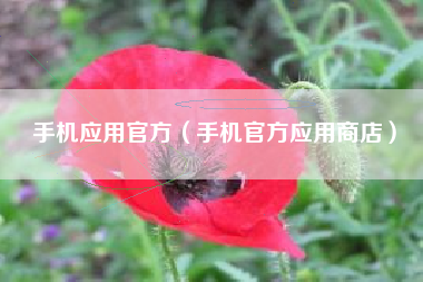 手机应用官方（手机官方应用商店）