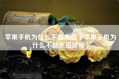 苹果手机为什么不能充值（苹果手机为什么不能充值快币）