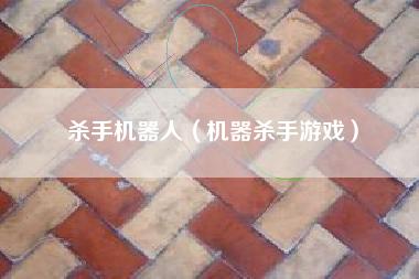杀手机器人（机器杀手游戏）