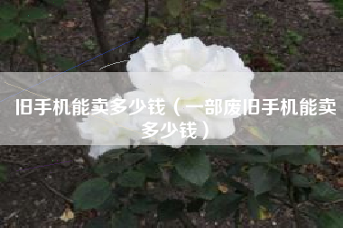 旧手机能卖多少钱（一部废旧手机能卖多少钱）