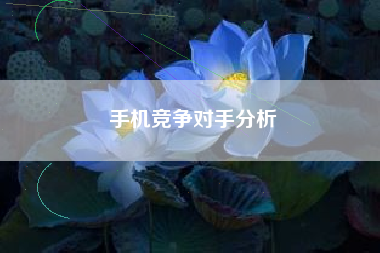 手机竞争对手分析