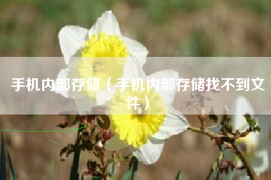 手机内部存储（手机内部存储找不到文件）