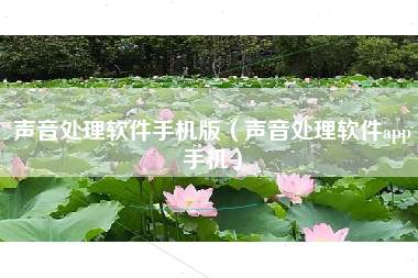 声音处理软件手机版（声音处理软件app手机）