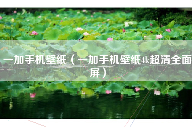 一加手机壁纸（一加手机壁纸4k超清全面屏）