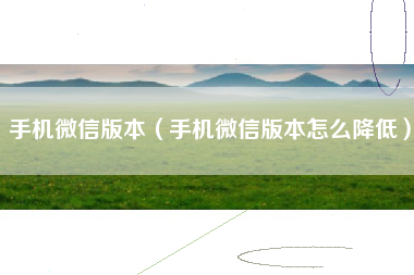 手机微信版本（手机微信版本怎么降低）