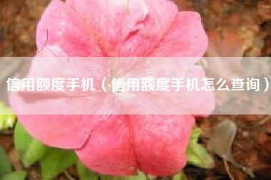 信用额度手机（信用额度手机怎么查询）