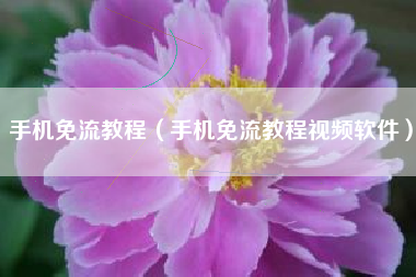 手机免流教程（手机免流教程视频软件）