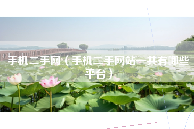 手机二手网（手机二手网站一共有哪些平台）