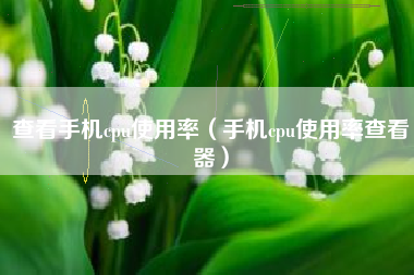 查看手机cpu使用率（手机cpu使用率查看器）
