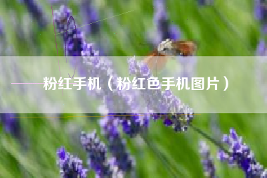 粉红手机（粉红色手机图片）