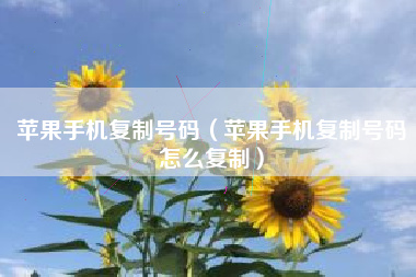 苹果手机复制号码（苹果手机复制号码怎么复制）