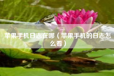 苹果手机日志在哪（苹果手机的日志怎么看）