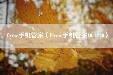flyme手机管家（Flyme手机管家10.0.220）