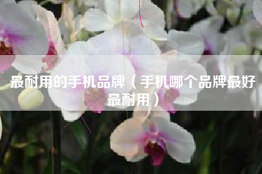 最耐用的手机品牌（手机哪个品牌最好最耐用）