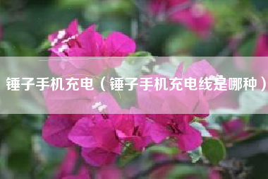 锤子手机充电（锤子手机充电线是哪种）