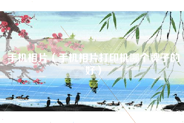 手机相片（手机相片打印机哪个牌子的好）