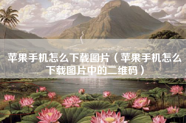 苹果手机怎么下载图片（苹果手机怎么下载图片中的二维码）