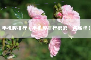 手机膜排行（手机膜排行榜第一名品牌）
