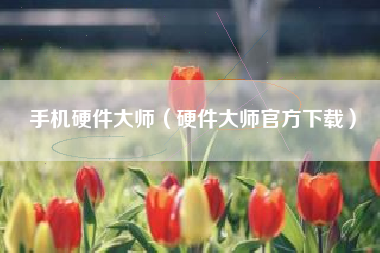 手机硬件大师（硬件大师官方下载）