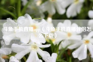 斗鱼手机直播app（斗鱼手机直播伴侣怎么下载）