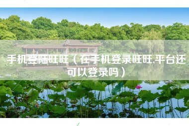 手机登陆旺旺（在手机登录旺旺,平台还可以登录吗）