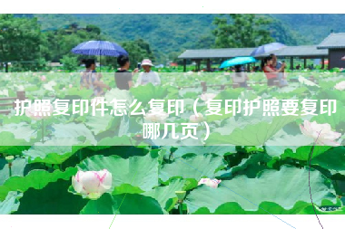 护照复印件怎么复印（复印护照要复印哪几页）